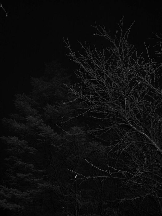 Return of the freezing winds