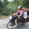 IMG 14