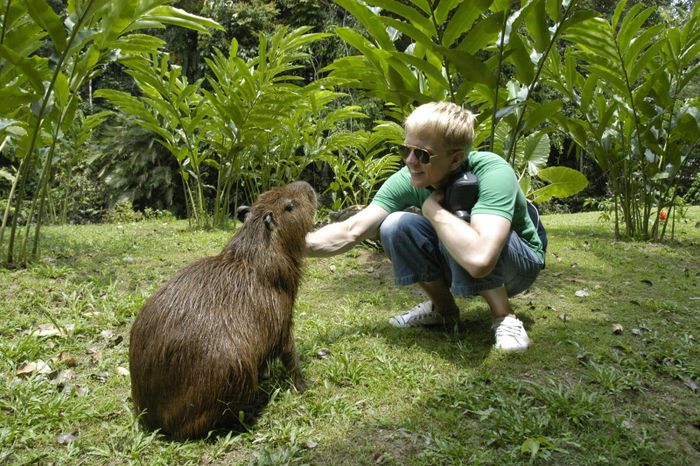 Ptur ad klappa Charlie capybara