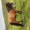 img 0082