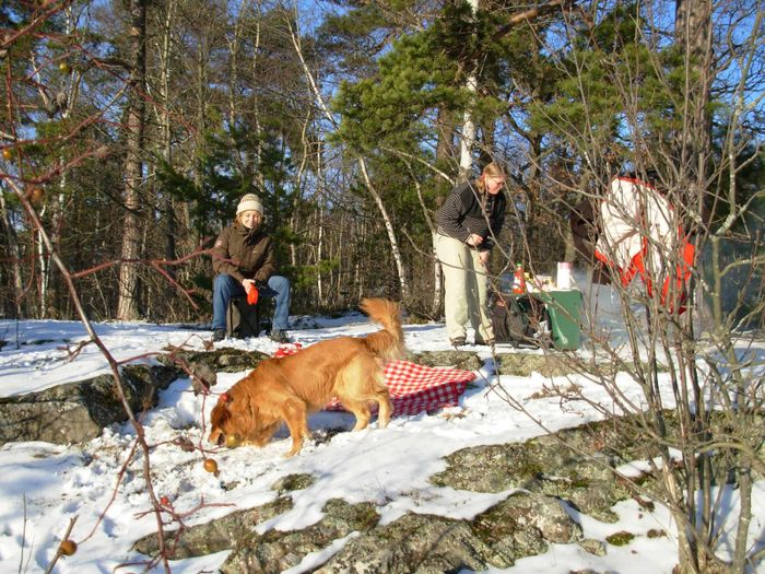 Vetrargrill i Bergshamra