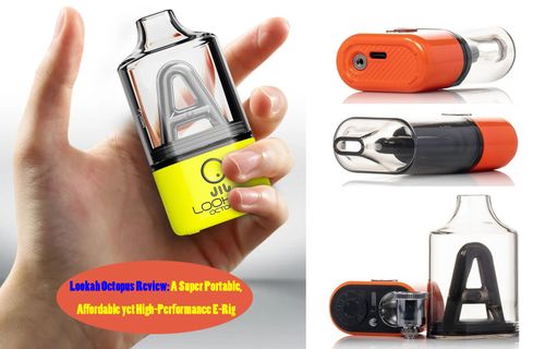 Lookah-octopus-mini-erig-review