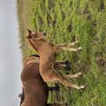 img 0150