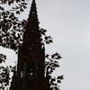 IMG 0275