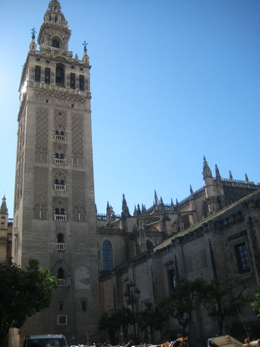 The Cathedral in Sevilla