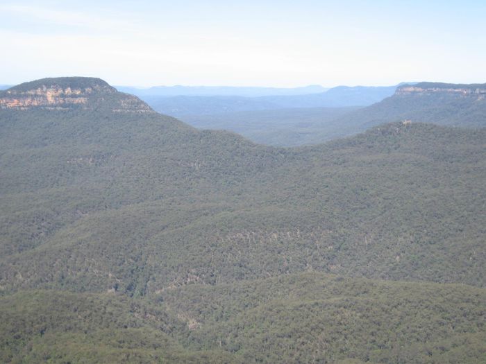 img 2750.jpg