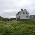 Prestssetið Grunnavík  030