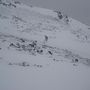 dsc01964.jpg