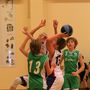 IMG 4851 (Large)