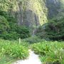 Phi Phi Leh