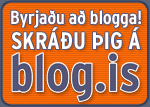 Mynd  kerfisblogg