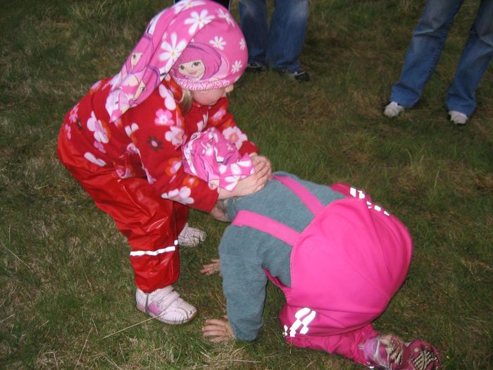 img 1257.jpg