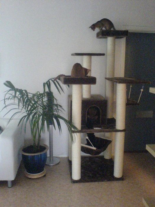 They LOVE their new 