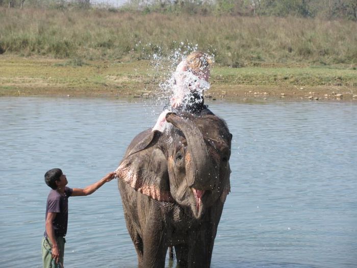 Chitwan National Park 012