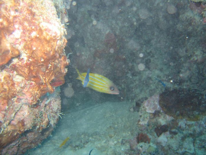 img 3289.jpg