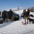 IMG 7483
