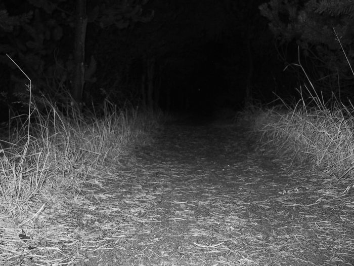path to immortality
