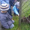 Þær voru mjög duglegar að borða úr höndunum á okkur
