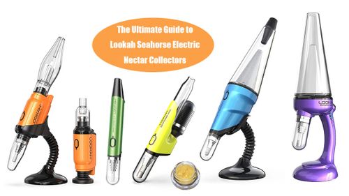 ultimate-guide-to-lookah-seahorse-range