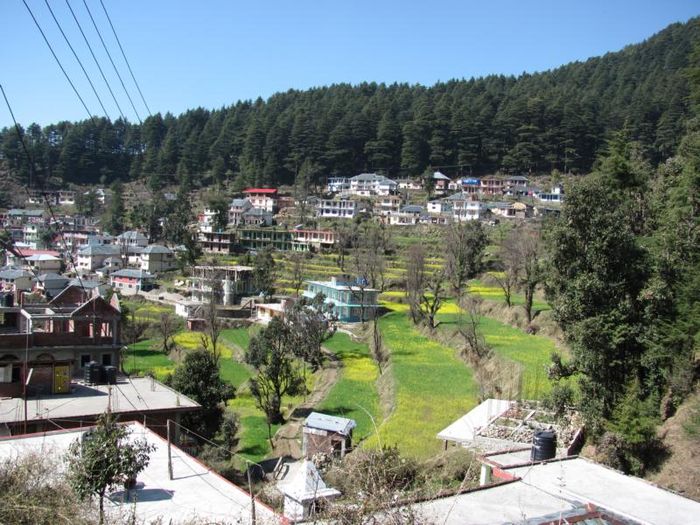 Dharamsala 155