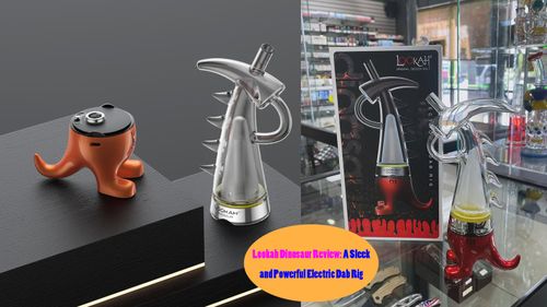 Lookah Dinosaur Review