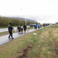 IMG 7771