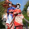 IMG 9524