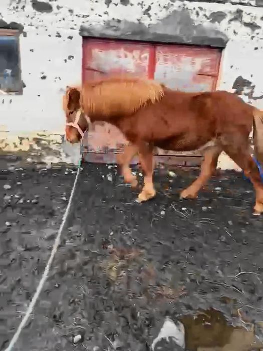 465591564 7958664460899761 2485183382675396978 n 6