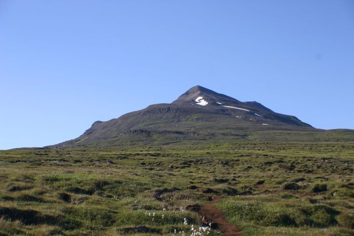 Ytri Sla