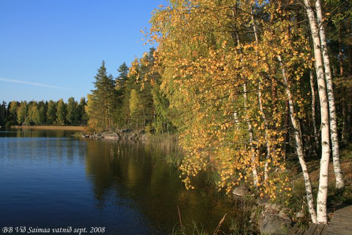 Haust vi Saimaa vatni 2008 (12)