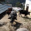 Dharamsala 156