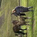 img 0692