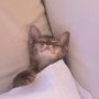 Sleeping again...