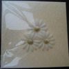 Clipboard10
