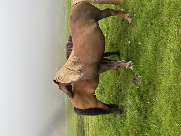 img 0067 1454537
