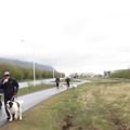 IMG 7775