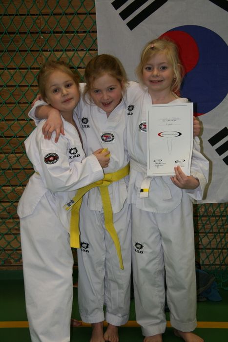 TaiKwonDo gula belti 259