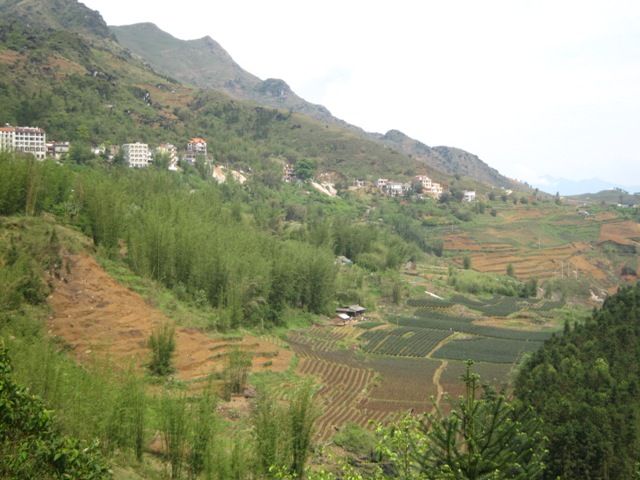 Sapa