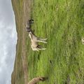 img 0686 1455573