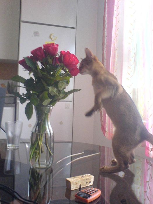 Smelling the flowers