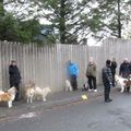 IMG 7780