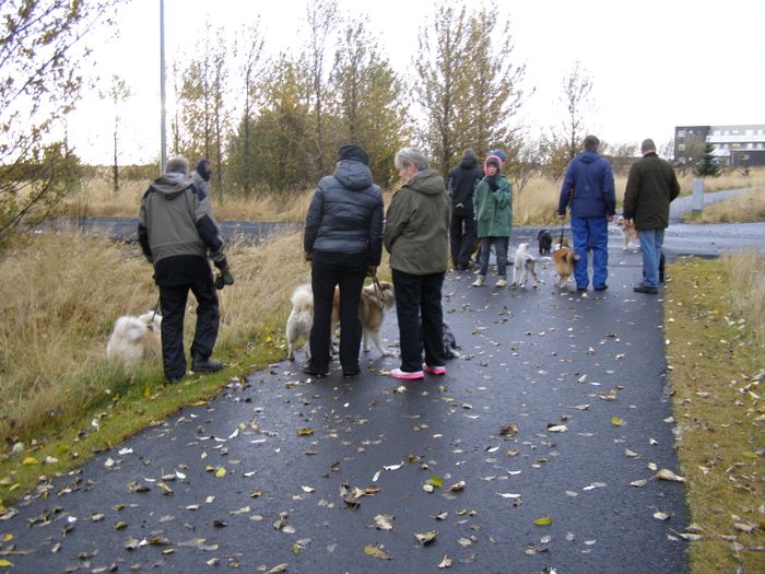 Selfoss 14 okt 2012 007