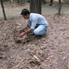 cu chi 025