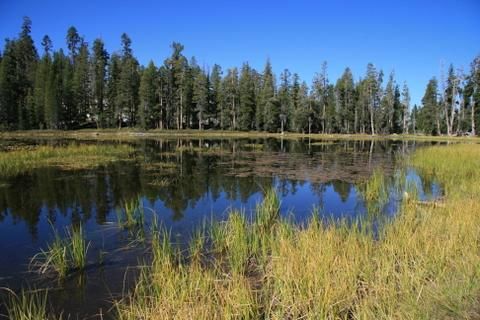 Siesta Lake