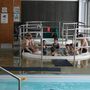 IMG 5430
