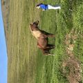 img 0179 1454621