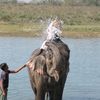 Chitwan National Park 012