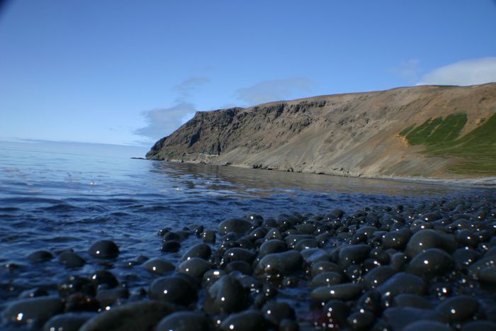 Fjaran og fjalli