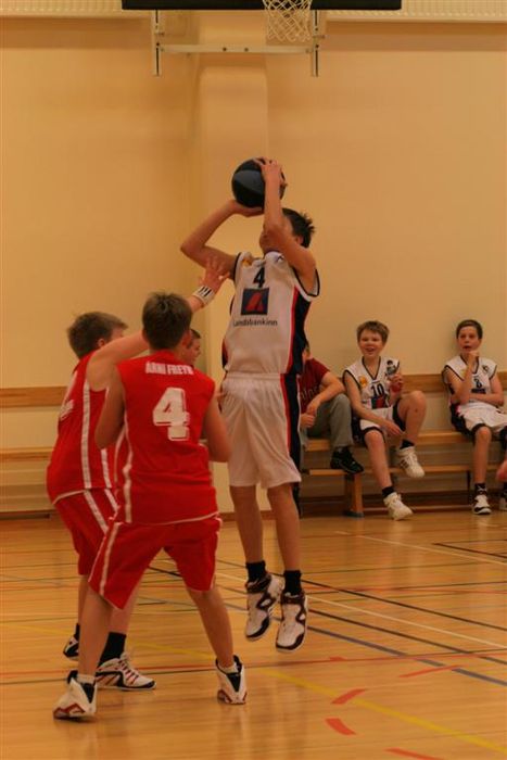 IMG 4733 (Large)