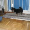 IMG 4317